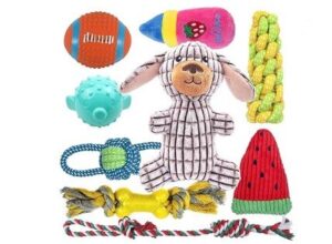 Puppy Toys Squeaky Dog Toys for Puppy Small Dogs