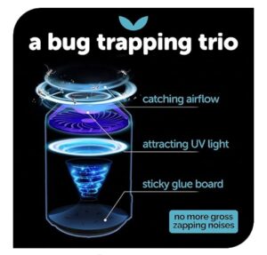 Katchy Automatic Indoor Insect Trap