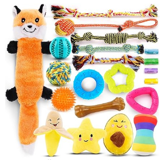 Puppy Toys 21 Pack-