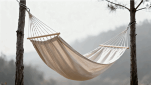Hammock Featured Image